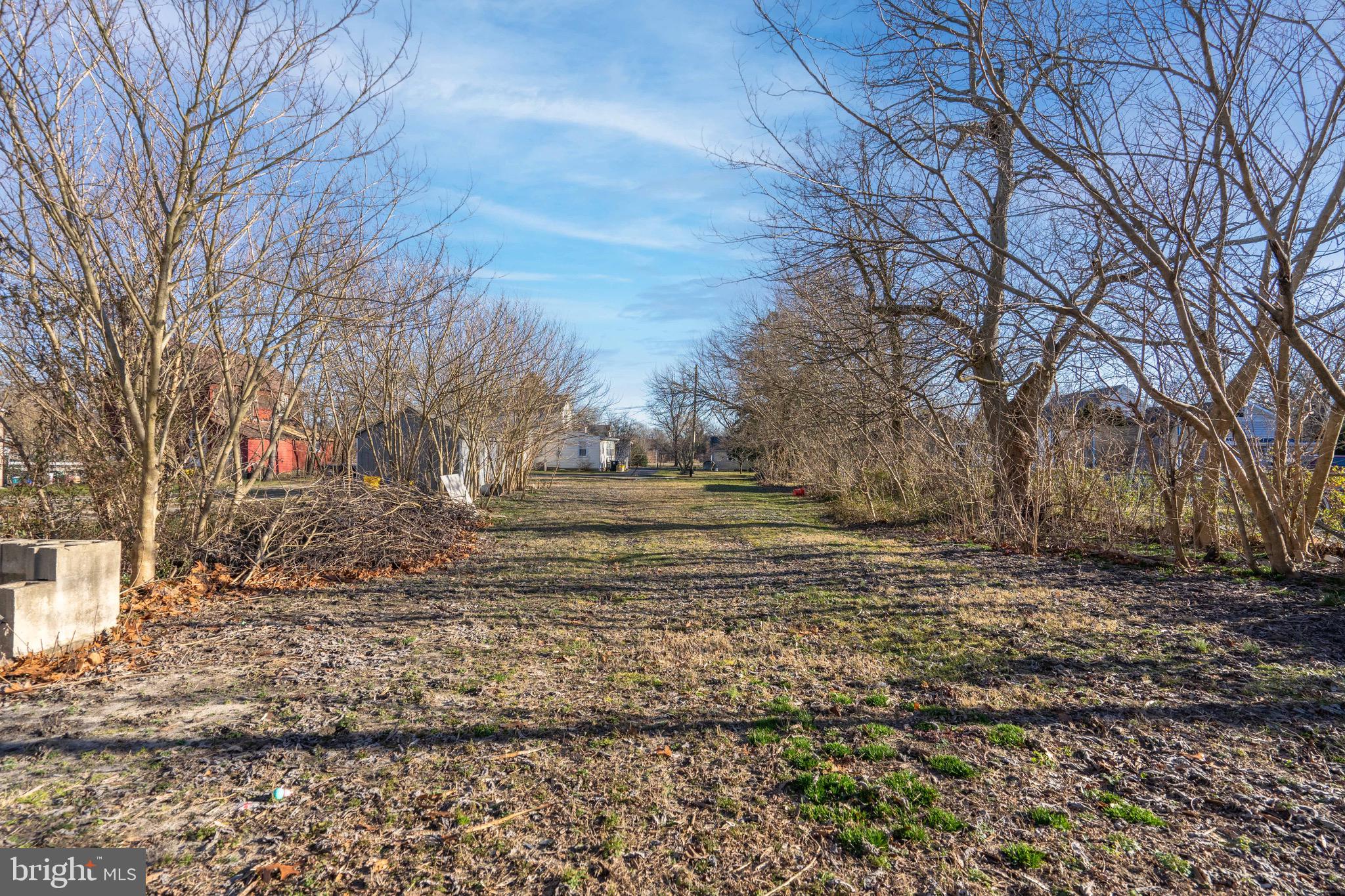 2172 Atco Avenue Atco, NJ 08004 - Photo 35 of 35 a view of dirt yard with a large tree