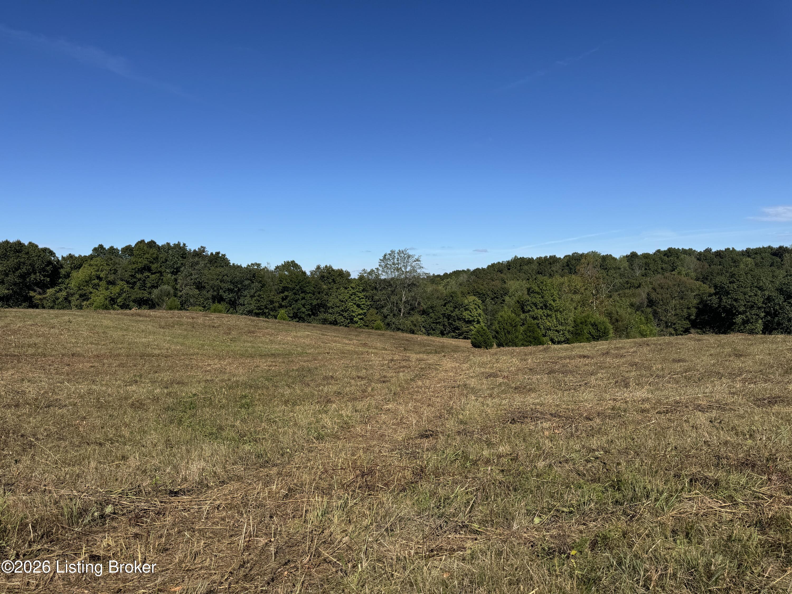 89 Taylor Fork Road Leitchfield, KY 42754 - Photo 25 of 25 IMG_1497