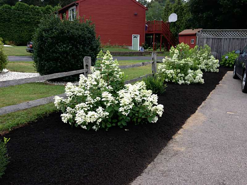 27 Fields View Road Westerly, RI 02808 - Photo 24 of 25 Exterior Front.