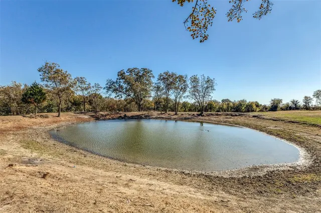 a view of a field with trees in the background