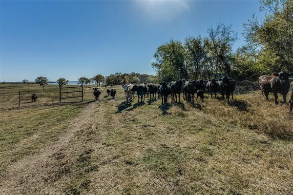 $4,000,000 | 15675 County Road 4024, Kemp, TX 75143