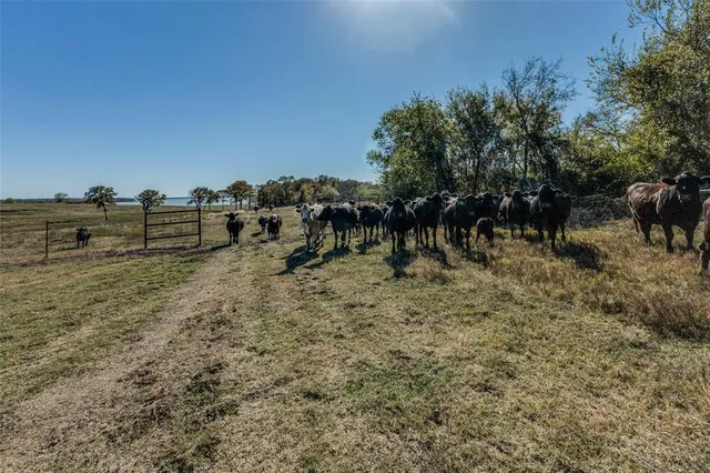 $4,000,000 | 15675 County Road 4024, Kemp, TX 75143