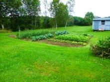 270 Saco Road Columbia Falls, ME 04623 - Photo 21 of 22 Yard/Garden.