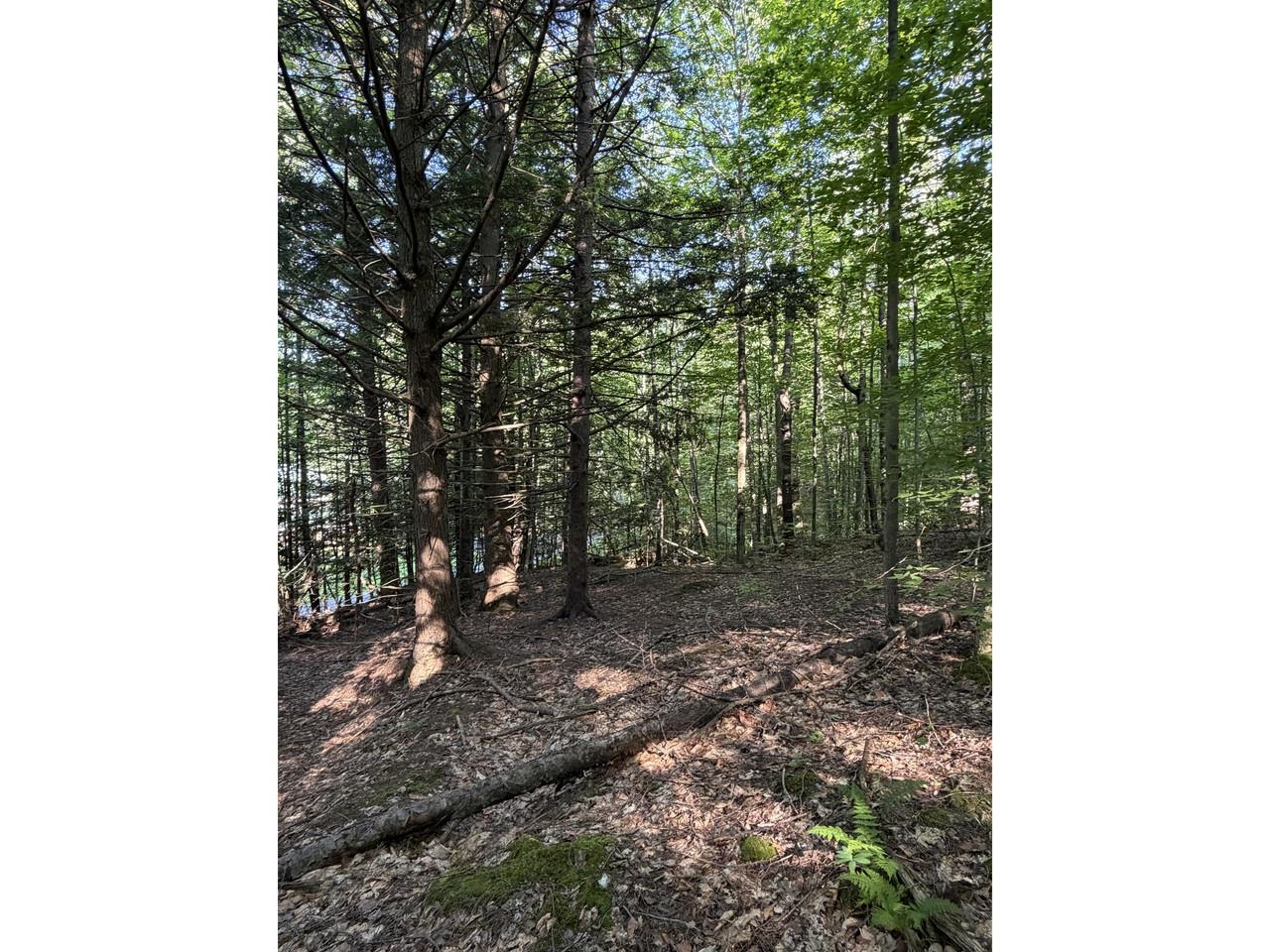 0 Old Carriage Road Waitsfield, VT 05673 - Photo 8 of 24