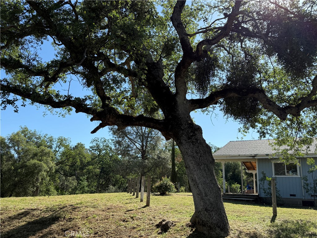 4952 Hidden Springs Road Mariposa, CA 95338 - Photo 40 of 53 a view of a house with a tree