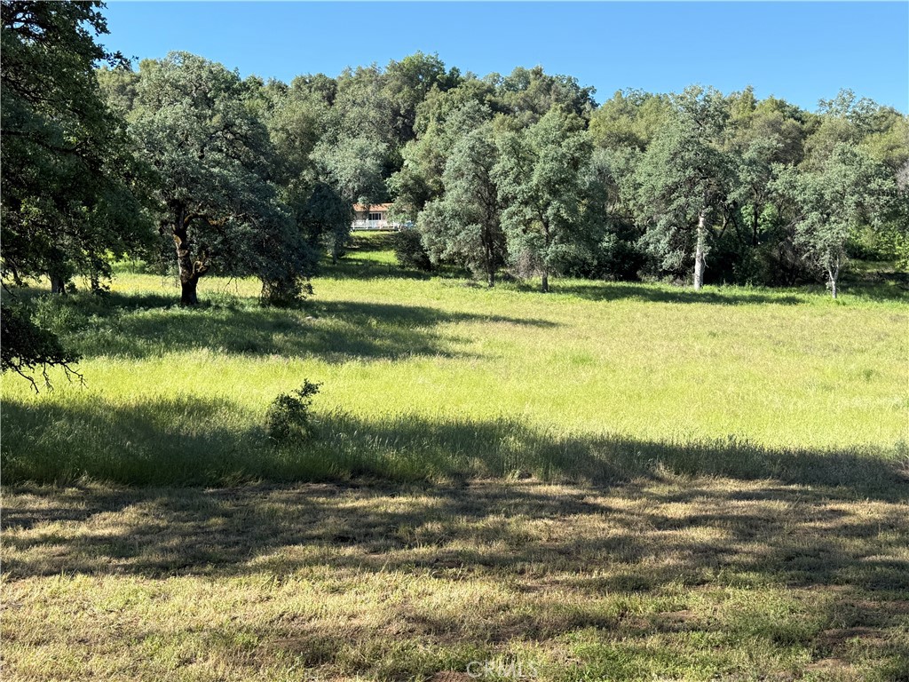 4952 Hidden Springs Road Mariposa, CA 95338 - Photo 42 of 53 a view of a yard with a house in the background