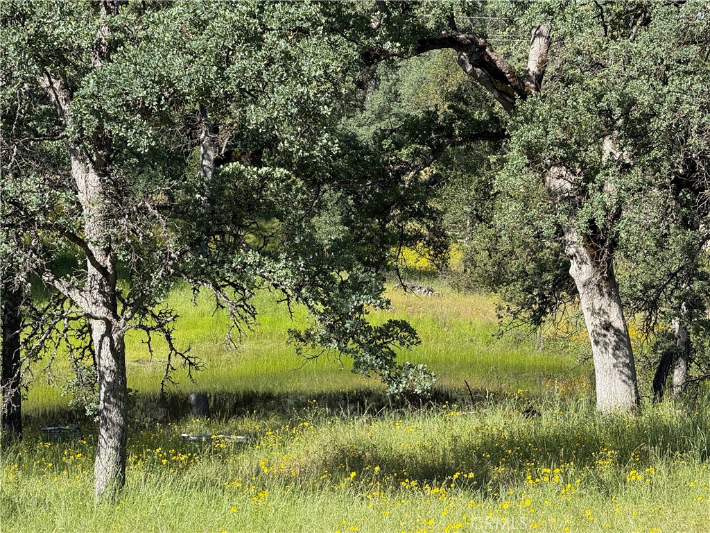 4952 Hidden Springs Road Mariposa, CA 95338 - Photo 43 of 53 a view of a lake from a yard