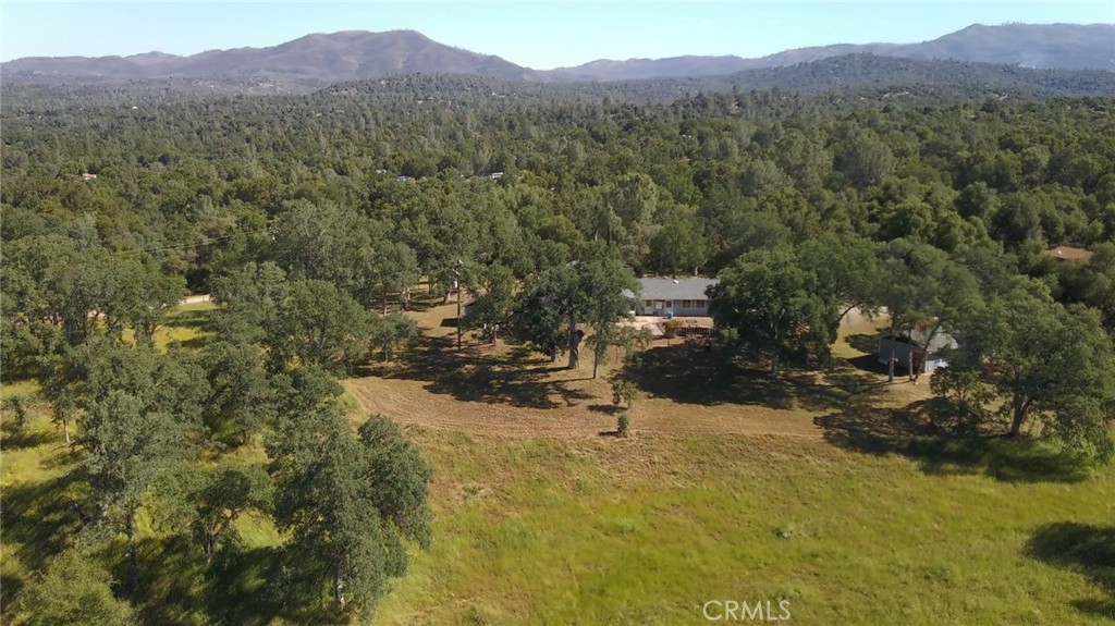 4952 Hidden Springs Road Mariposa, CA 95338 - Photo 44 of 53 a view of a forest with a mountain