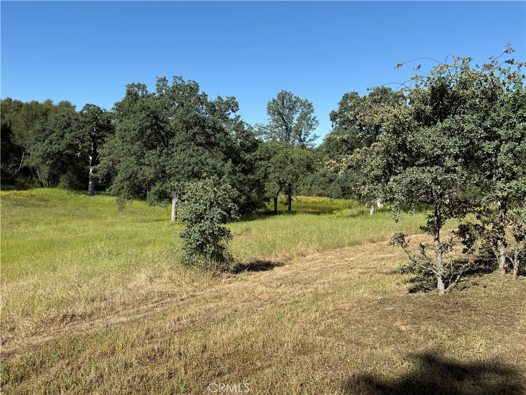 4952 Hidden Springs Road Mariposa, CA 95338 - Photo 47 of 53 a view of a field with an trees