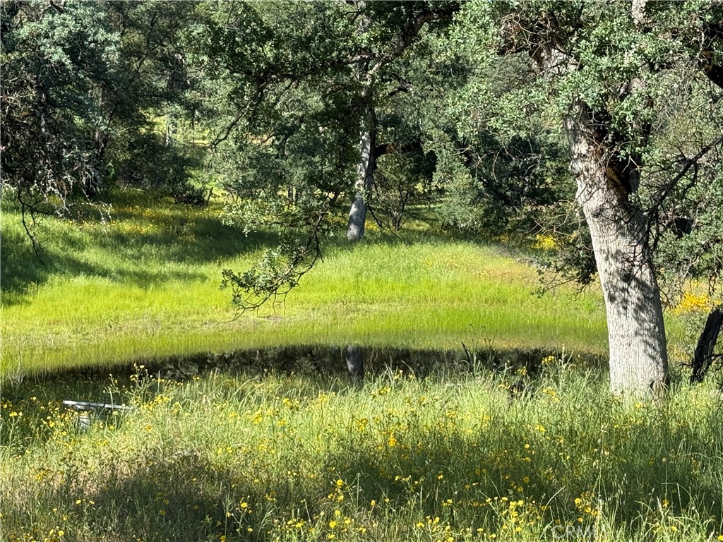 4952 Hidden Springs Road Mariposa, CA 95338 - Photo 49 of 53 a view of a lake with a yard