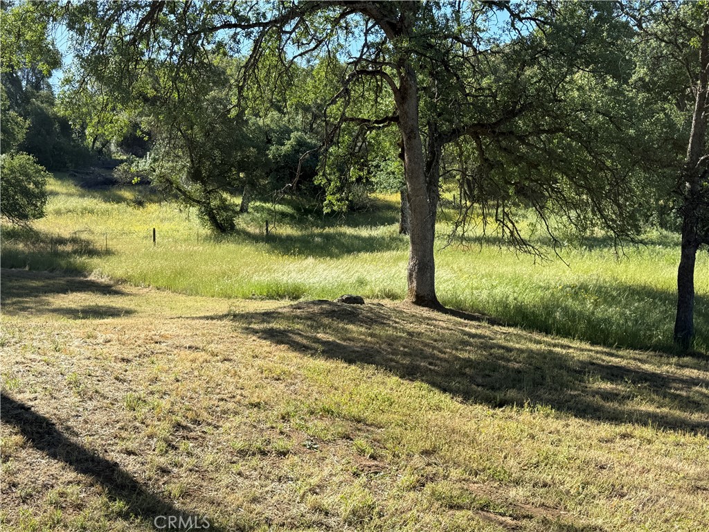 4952 Hidden Springs Road Mariposa, CA 95338 - Photo 53 of 53 a view of a yard with an trees