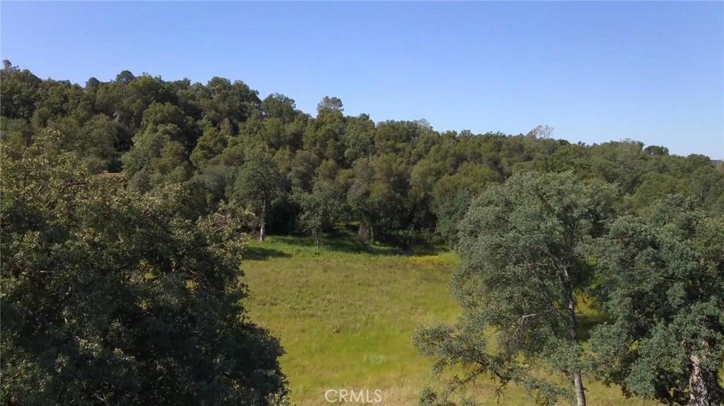 4952 Hidden Springs Road Mariposa, CA 95338 - Photo 6 of 53 a view of a yard with a tree in the background