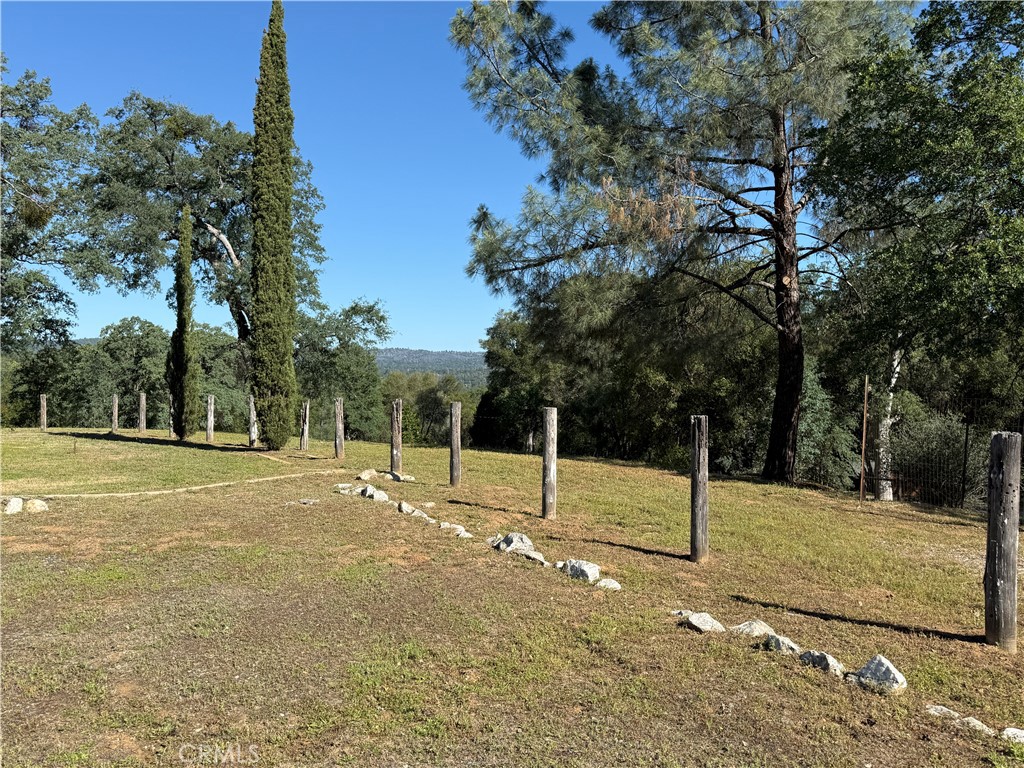 4952 Hidden Springs Road Mariposa, CA 95338 - Photo 7 of 53 a backyard of water with palm trees