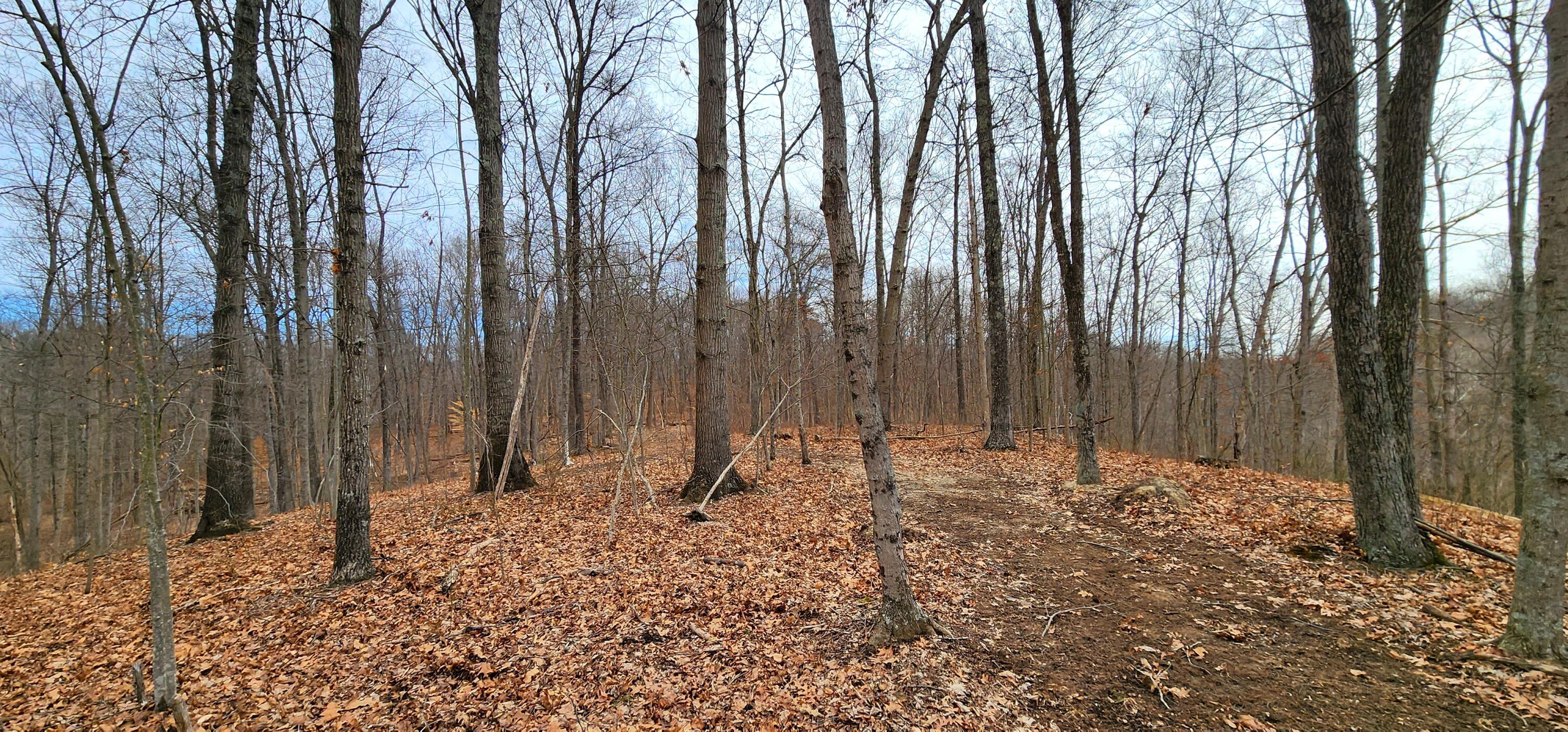 0 Edmundson Road, Unit TRACT 4 AT BIG TIMBER) Vinton, OH 45686 - Photo 3 of 67 3