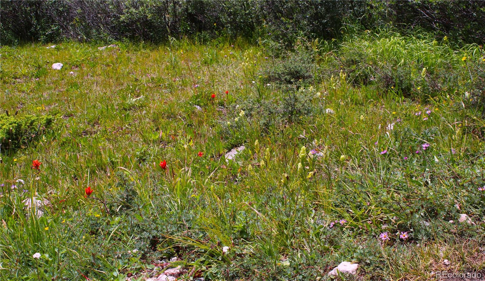 408 Forest Service Road Alma, CO 80420 - Photo 4 of 8 Gallery Image 4