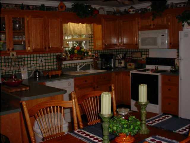 49 Brumby Road Flintstone, GA 30725 - Photo 2 of 7 Additional Photo