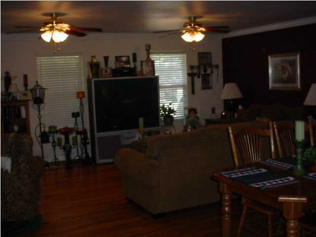 49 Brumby Road Flintstone, GA 30725 - Photo 3 of 7 Additional Photo