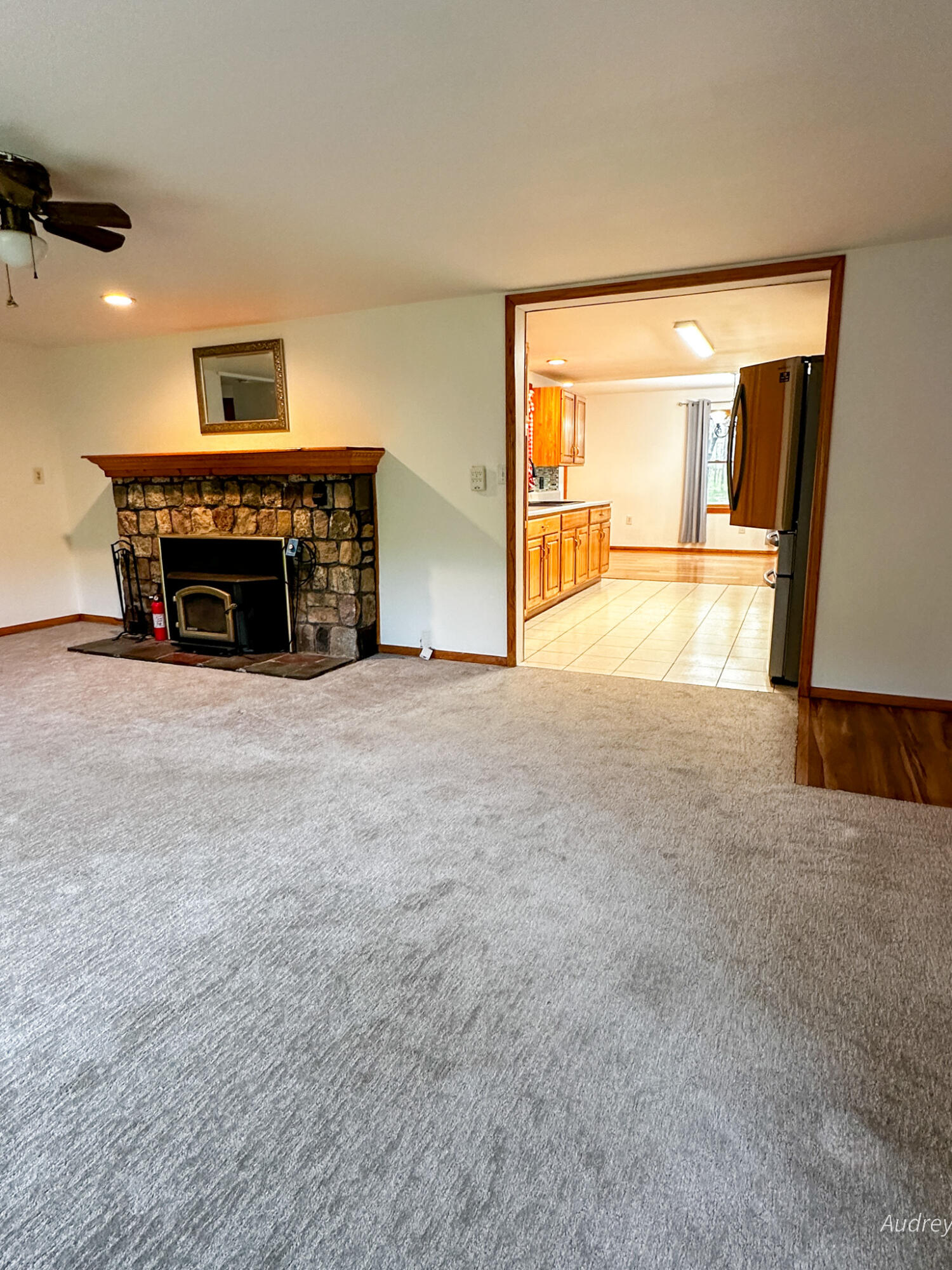 4307 North Mac Road Irons, MI 49644 - Photo 24 of 99 4307 N Mac Rd-048