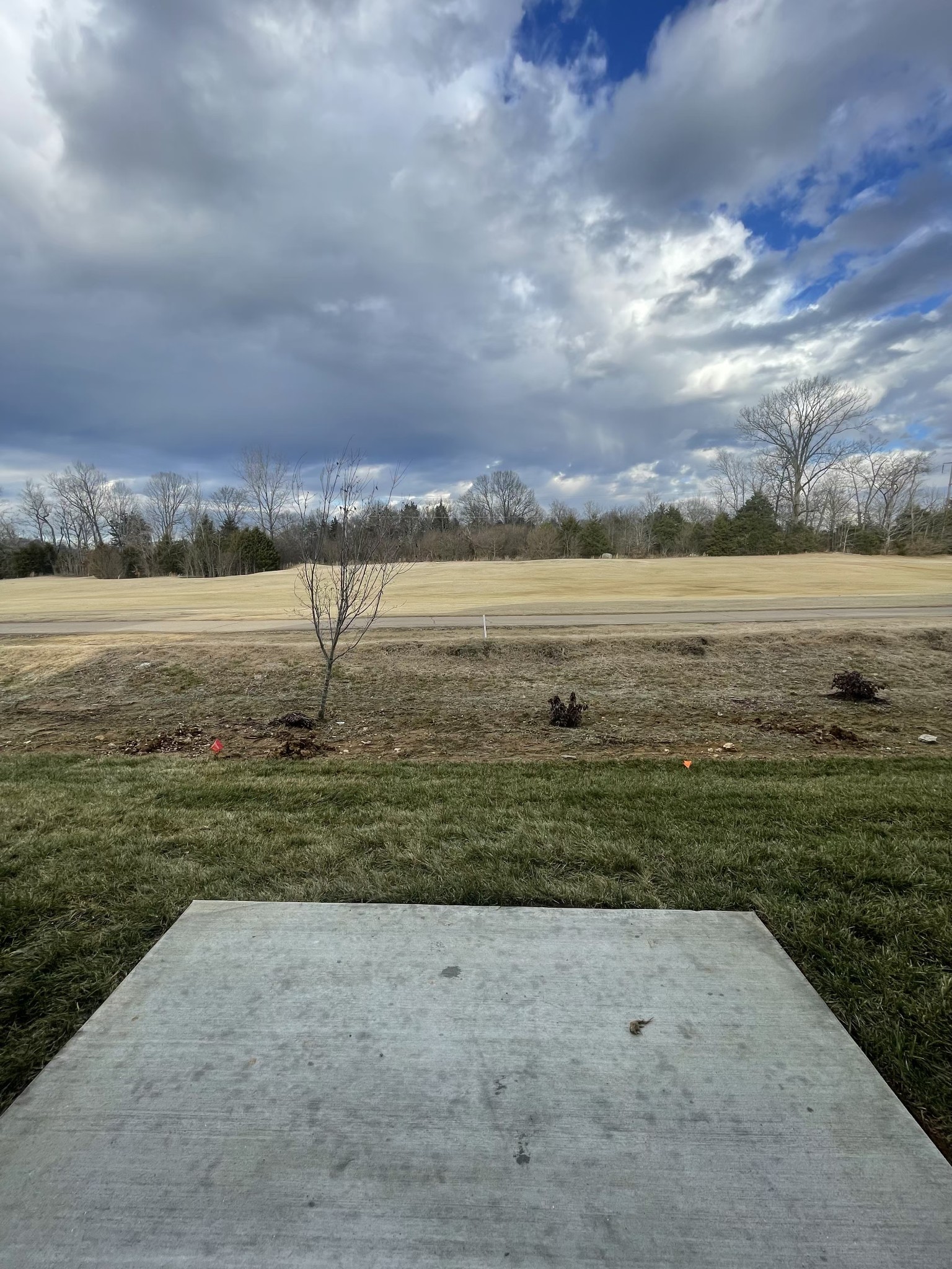 450 Alcott Way Spring Hill Spring Hill, TN 37174 - Photo 21 of 33