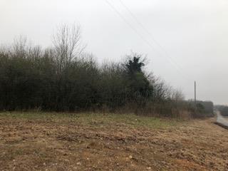0 Limestone Road Elora, TN 37328 - Photo 1 of 1