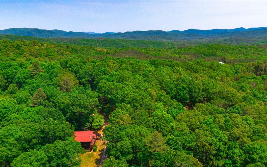 295 Mountain Top Drive Blue Ridge, GA 30513 - Photo 31 of 45 Additional View