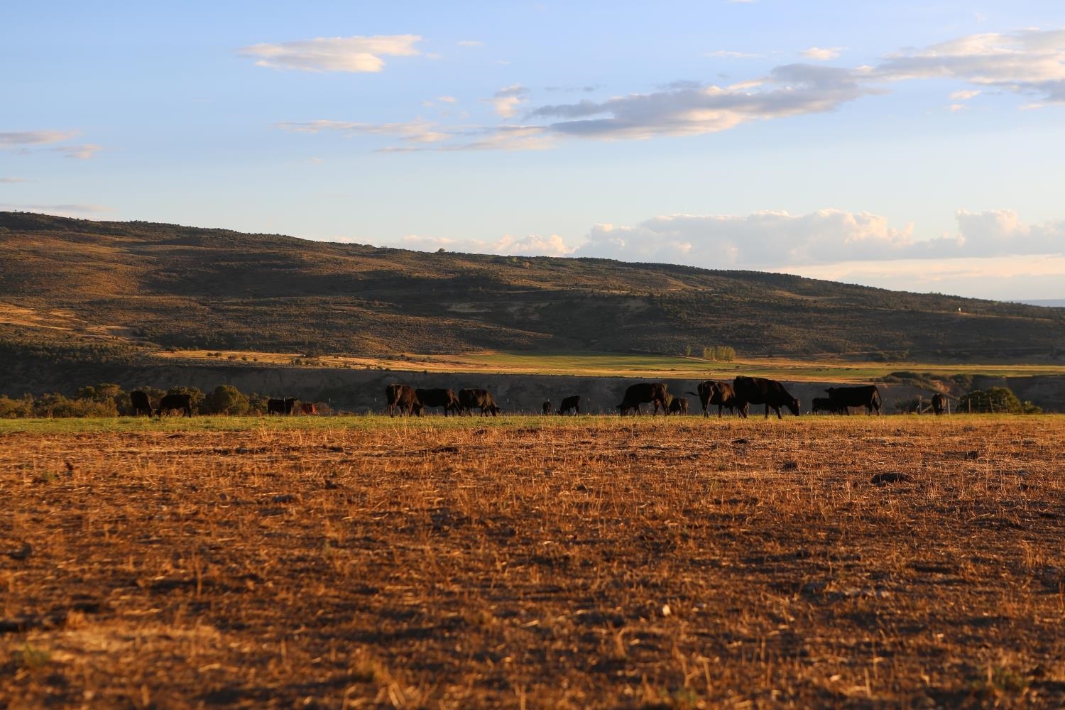 O74 O74 Road Montrose, CO 81401 - Photo 11 of 11 Gallery Image 11