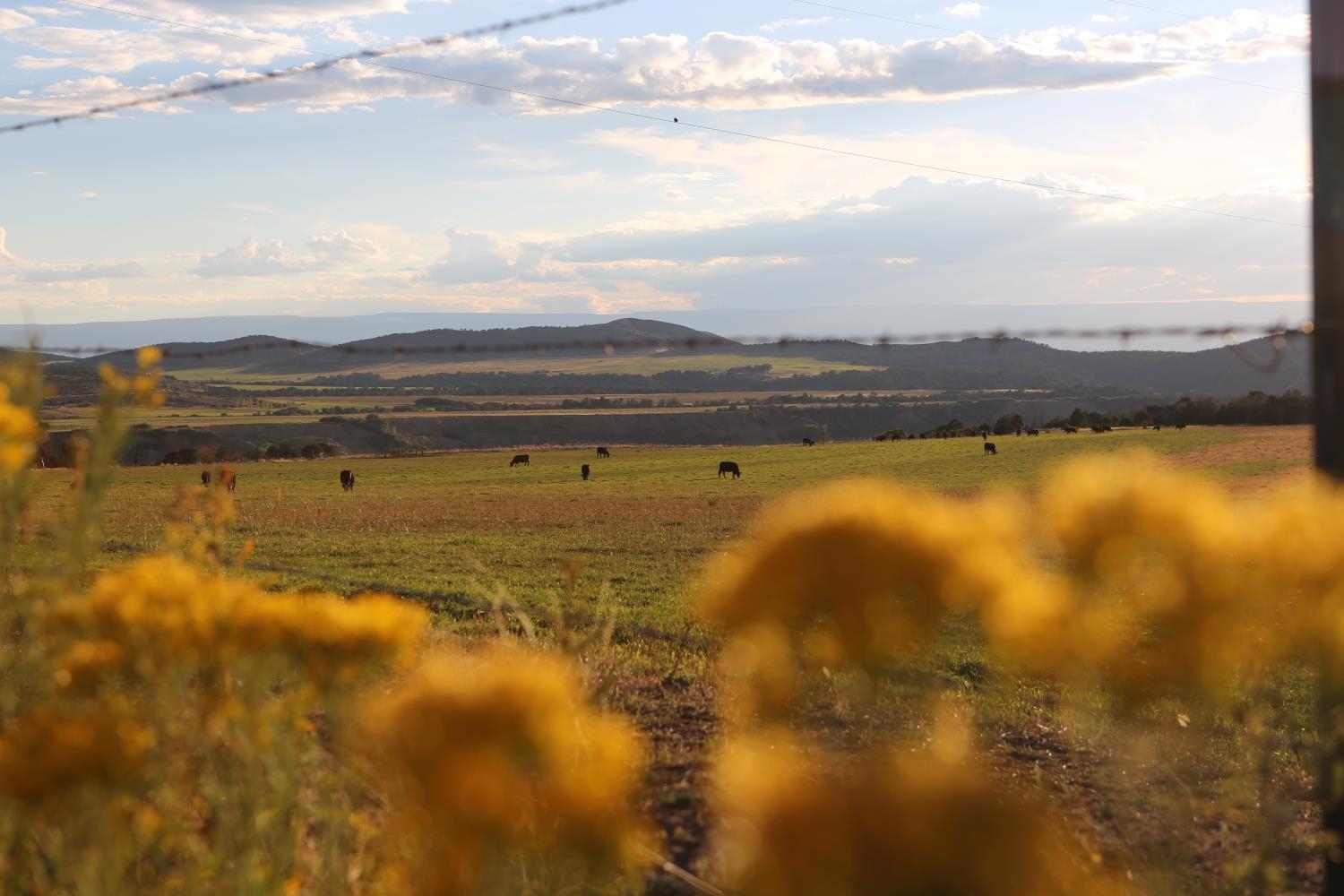 O74 O74 Road Montrose, CO 81401 - Photo 2 of 11 Gallery Image 2
