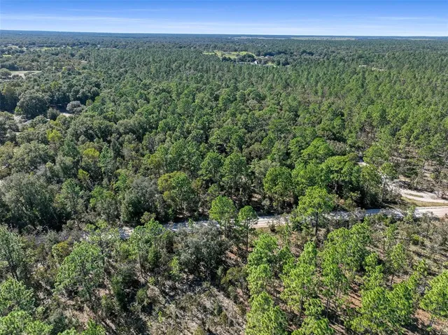 $122,999 | 0 Southwest 103rd Lane, Dunnellon, FL 34432