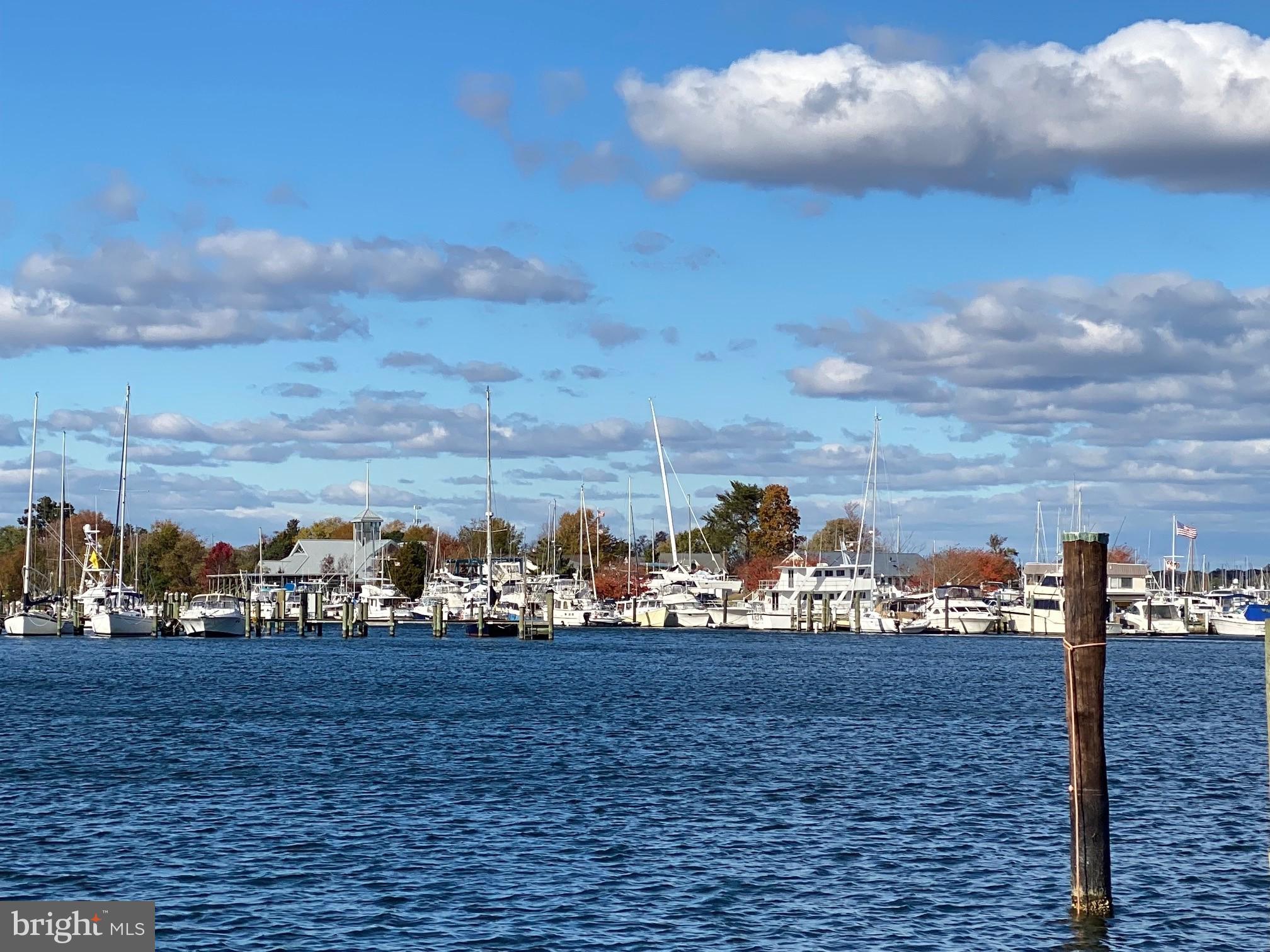 14532 Solomons Island Road South Solomons, MD 20688 - Photo 61 of 67