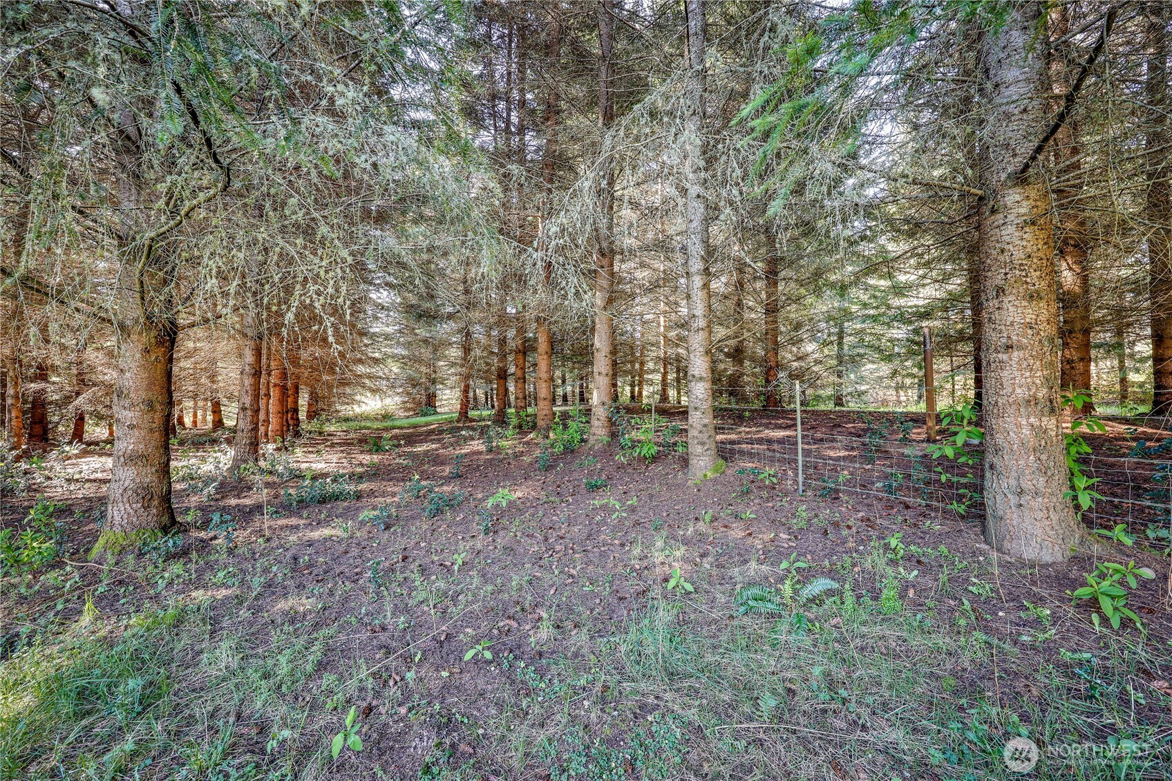 23975 South Kingston Road Northeast Kingston, WA 98346 - Photo 30 of 37