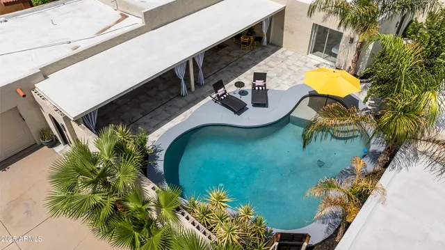 a view of a swimming pool with a garden and plants