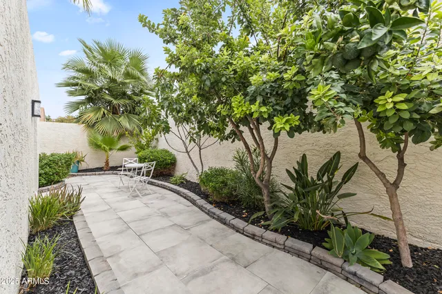 a view of a backyard