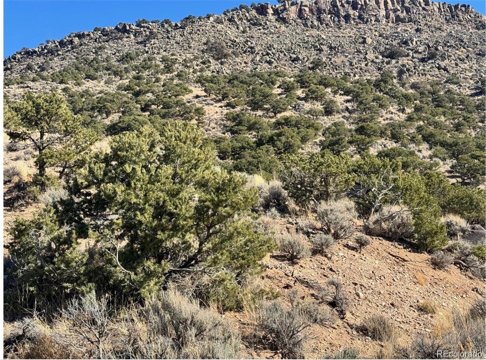 Lot 2446 Zuni Road Fort Garland, CO 81133 - Photo 11 of 15 Gallery Image 11