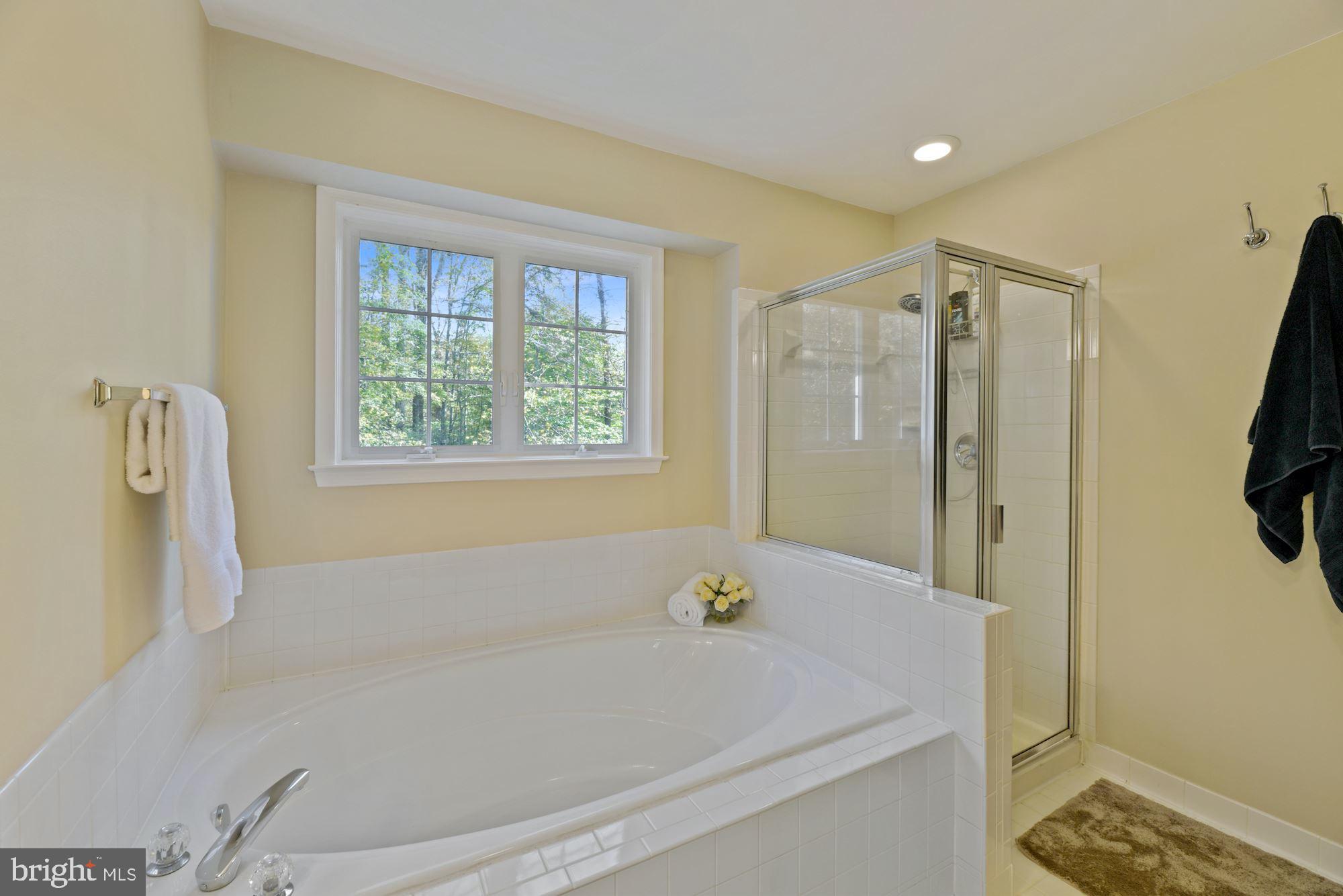 12121 Coloriver Road Manassas, VA 20112 - Photo 22 of 42 Master bath with separate shower and soaking tub