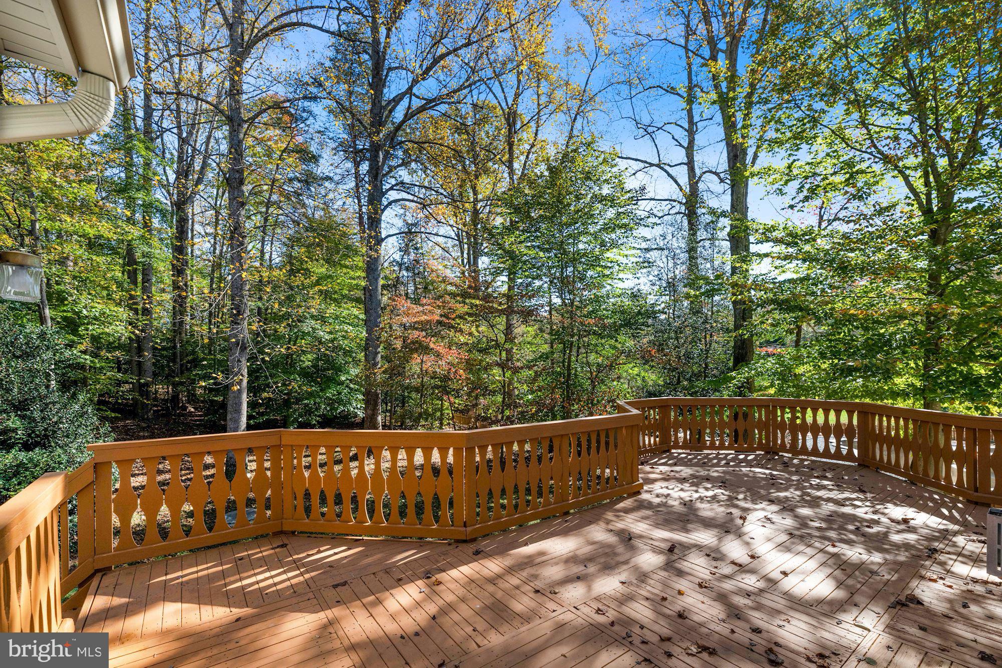 12121 Coloriver Road Manassas, VA 20112 - Photo 8 of 42 Freshly painted deck
