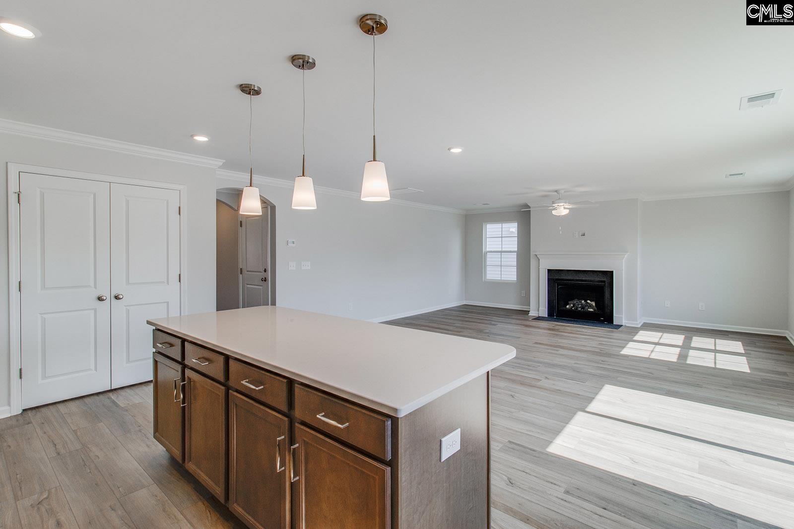 6009 Edgemont Drive Elgin, SC 29045 - Photo 6 of 21