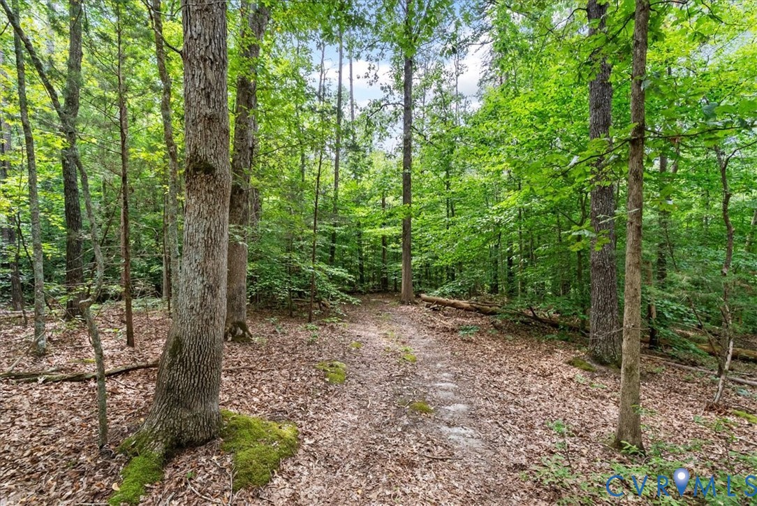 610 Lockett Road Rice, VA 23966 - Photo 64 of 79 Gallery Image 64
