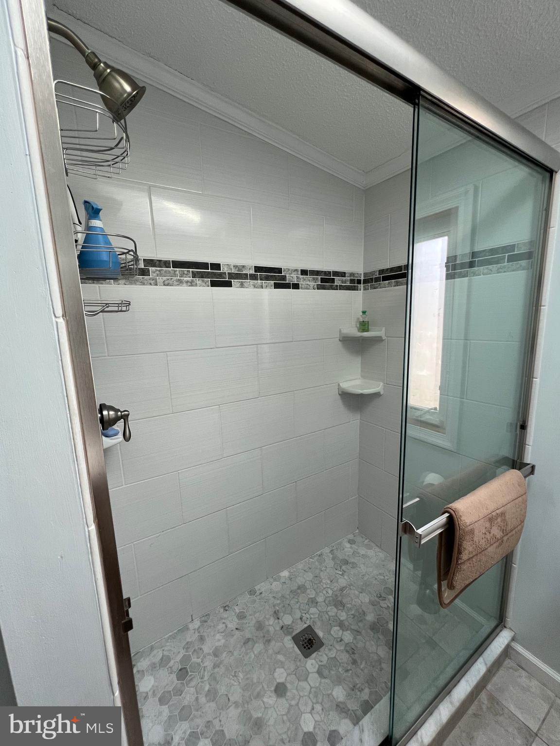 12020 Assateague Way Berlin, MD 21811 - Photo 17 of 110 a bathroom with a shower