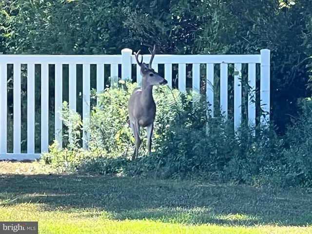 $259,900 | 12020 Assateague Way, Berlin, MD 21811