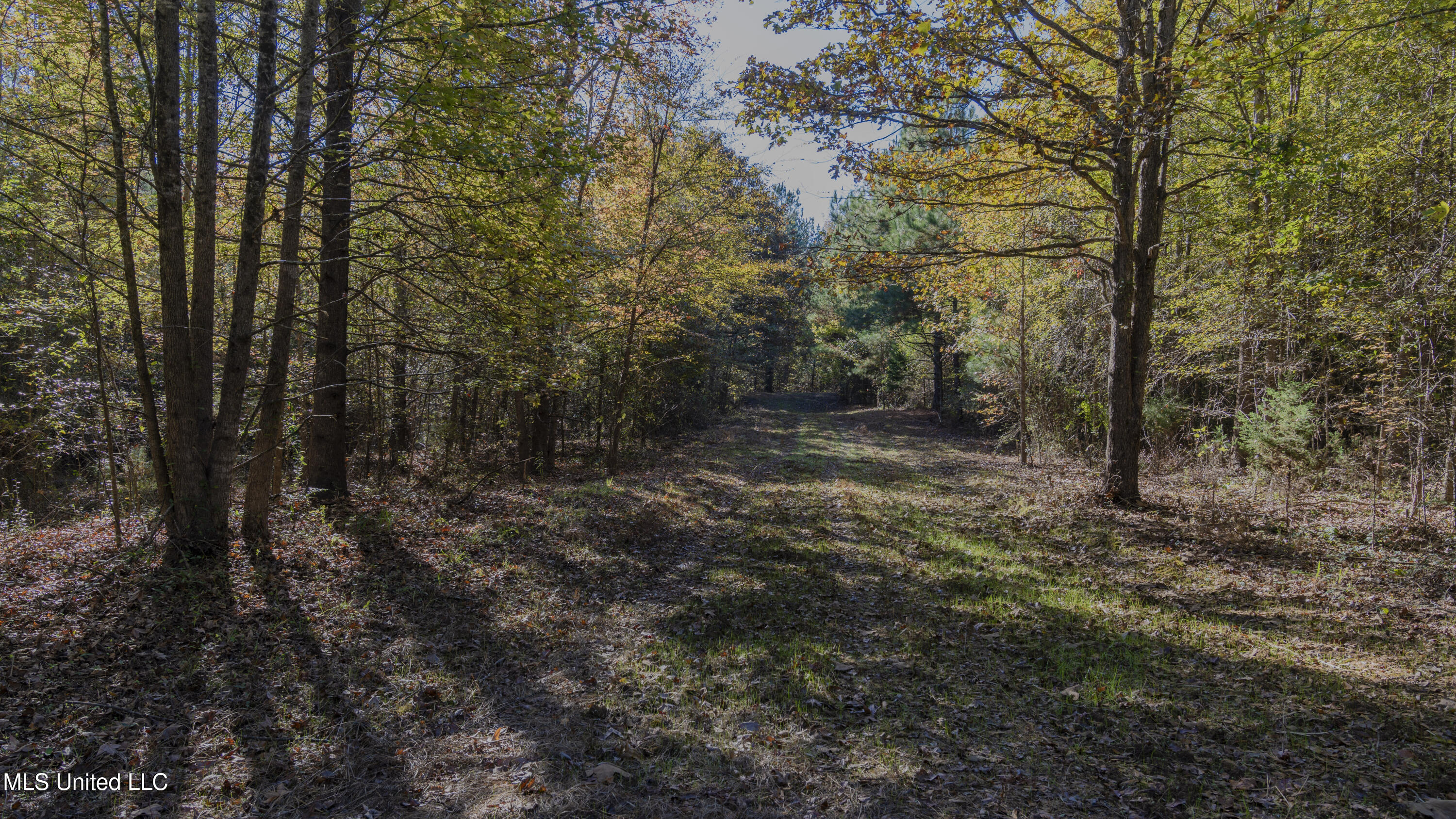 89 +/- Acre Recreational Tract