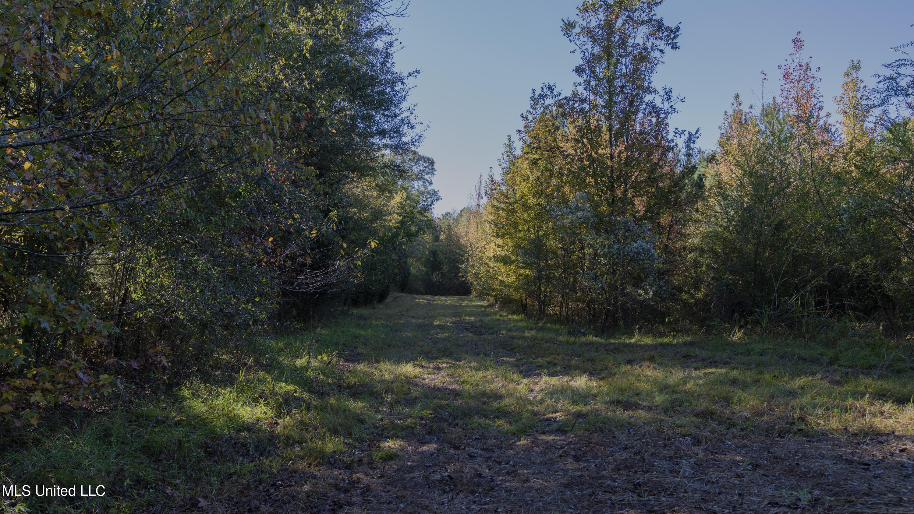 16098 Emory Road West, MS 39192 - Photo 17 of 41 WILL WARD-90 ACRE-22