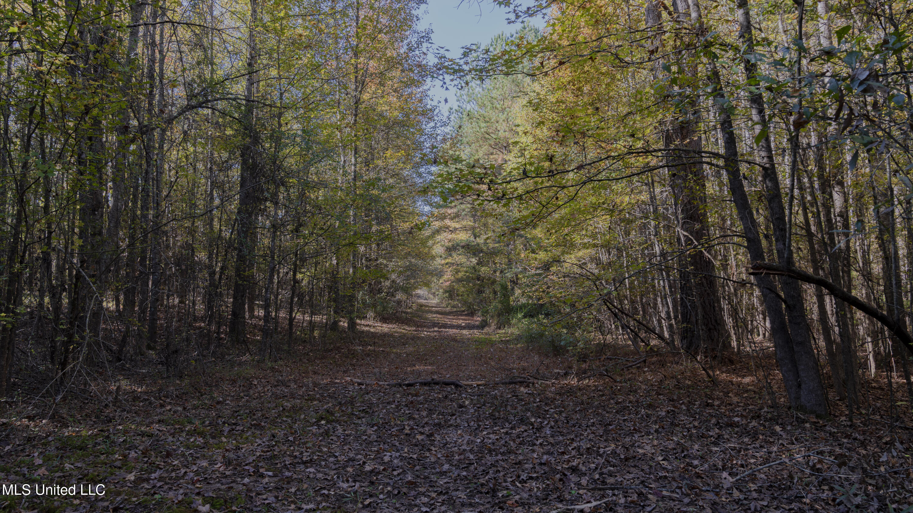 16098 Emory Road West, MS 39192 - Photo 20 of 41 WILL WARD-90 ACRE-25