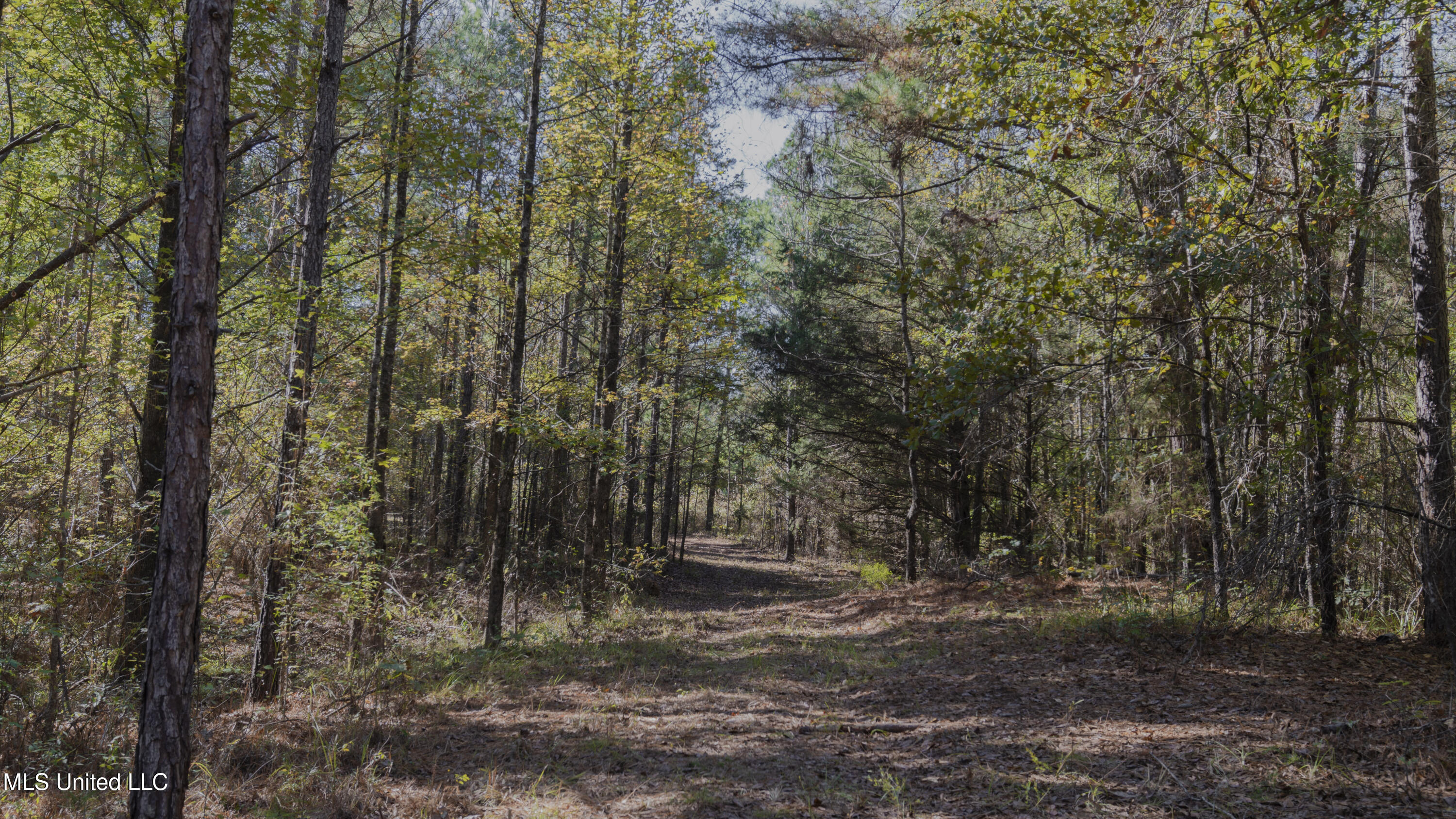 16098 Emory Road West, MS 39192 - Photo 28 of 41 WILL WARD-90 ACRE-33