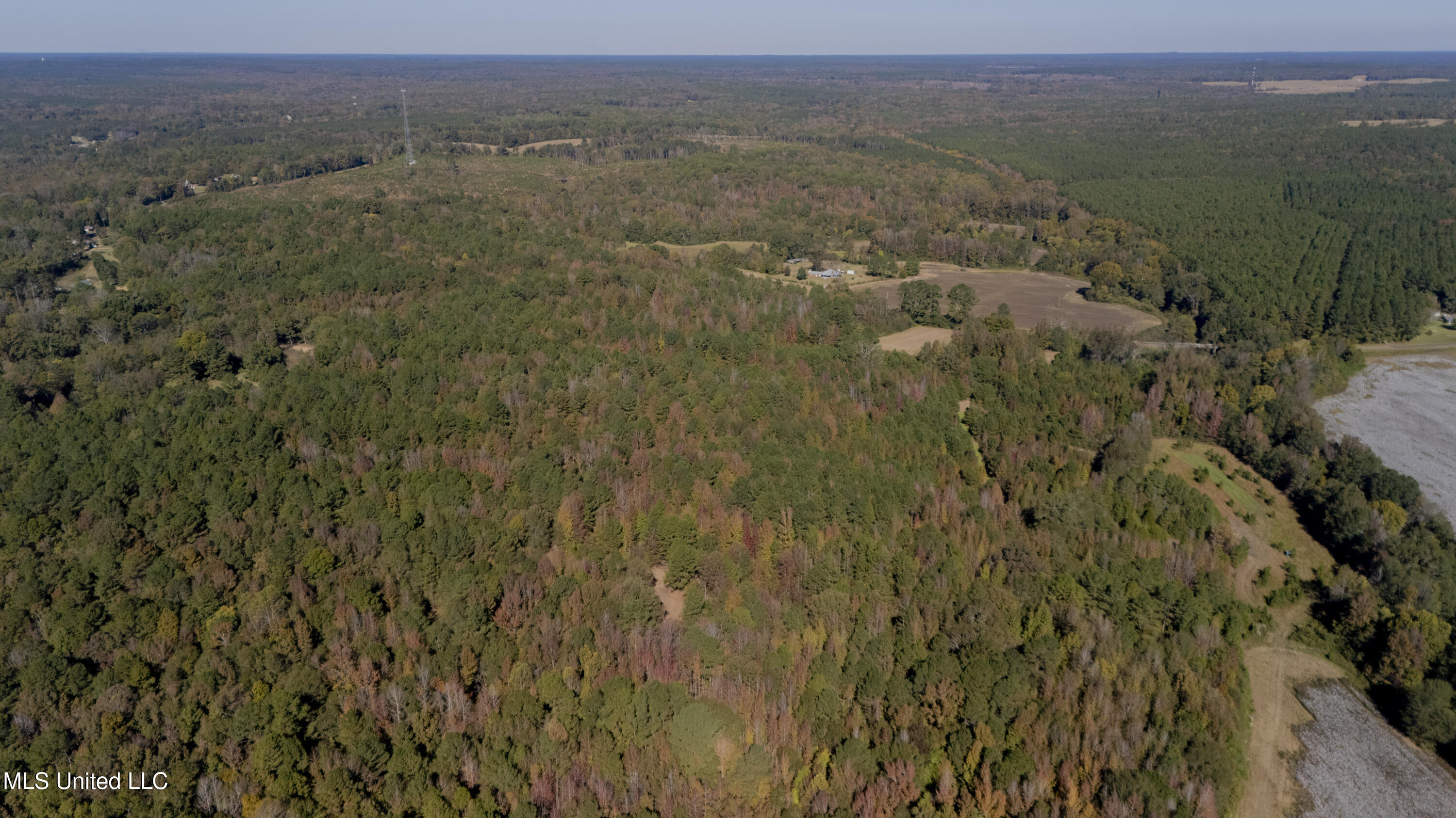 16098 Emory Road West, MS 39192 - Photo 34 of 41 WILL WARD-90 ACRE-20
