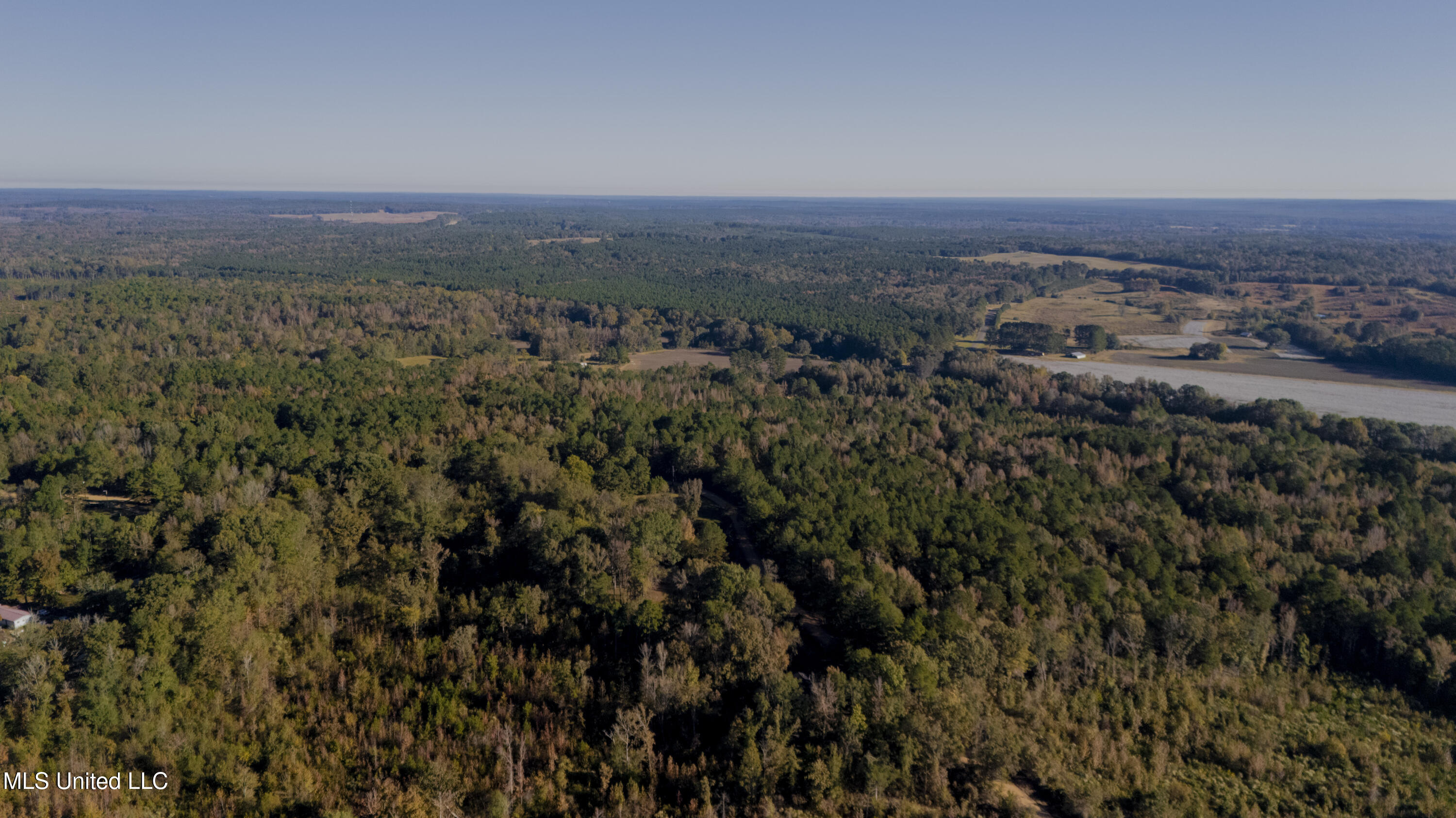 16098 Emory Road West, MS 39192 - Photo 36 of 41 WILL WARD-90 ACRE-40
