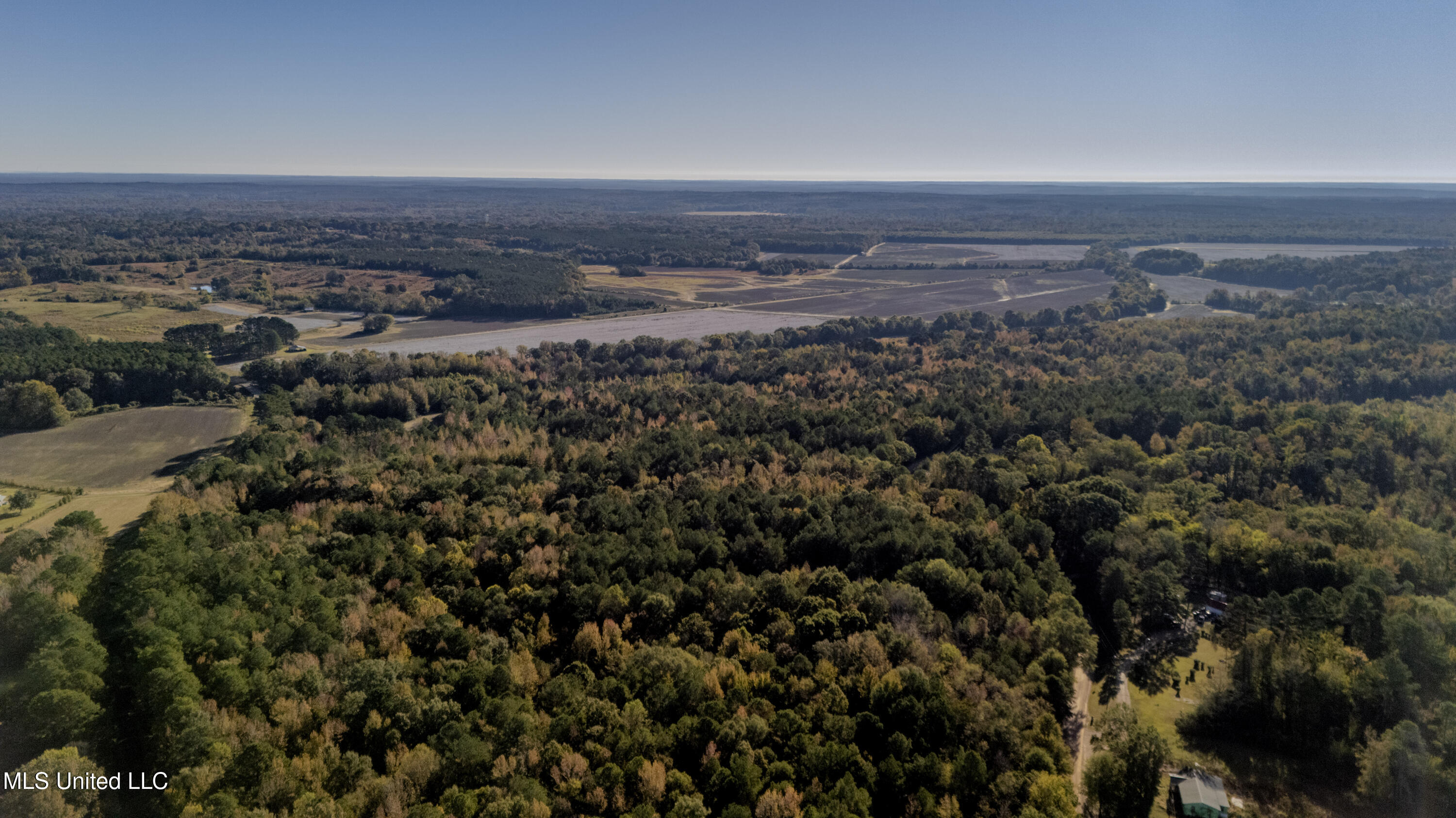 16098 Emory Road West, MS 39192 - Photo 37 of 41 WILL WARD-90 ACRE-41