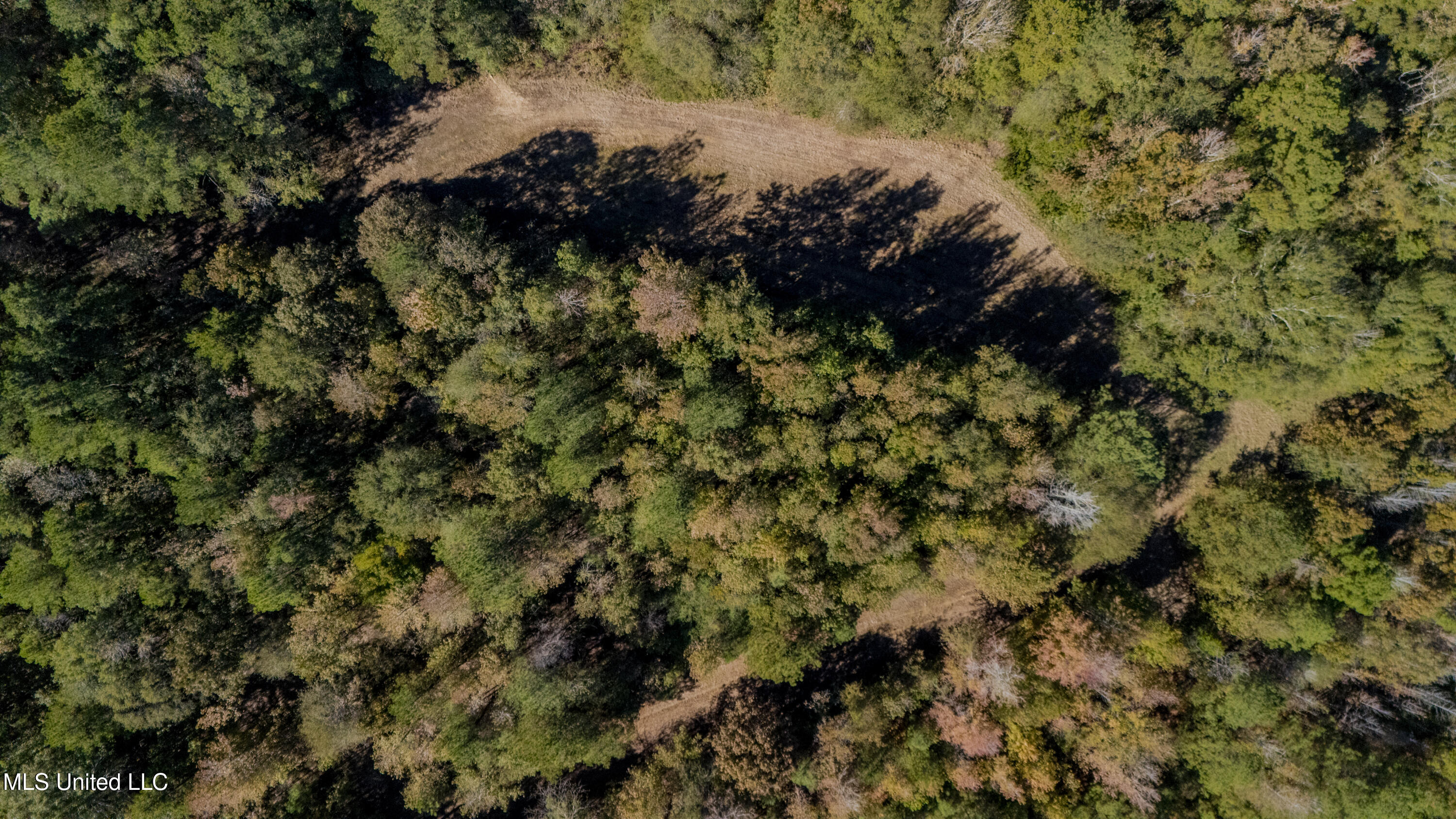 16098 Emory Road West, MS 39192 - Photo 40 of 41 WILL WARD-90 ACRE-18
