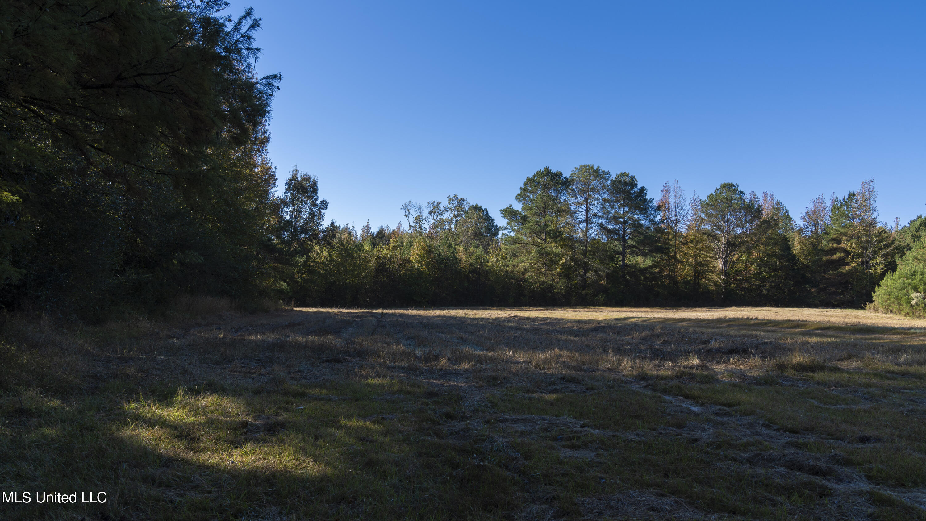 16098 Emory Road West, MS 39192 - Photo 4 of 41 WILL WARD-90 ACRE-02