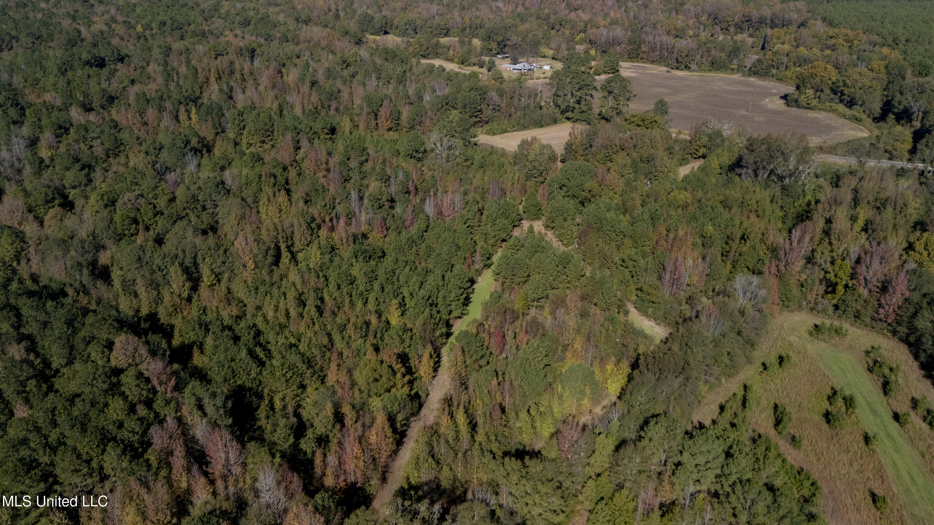 16098 Emory Road West, MS 39192 - Photo 41 of 41 WILL WARD-90 ACRE-19