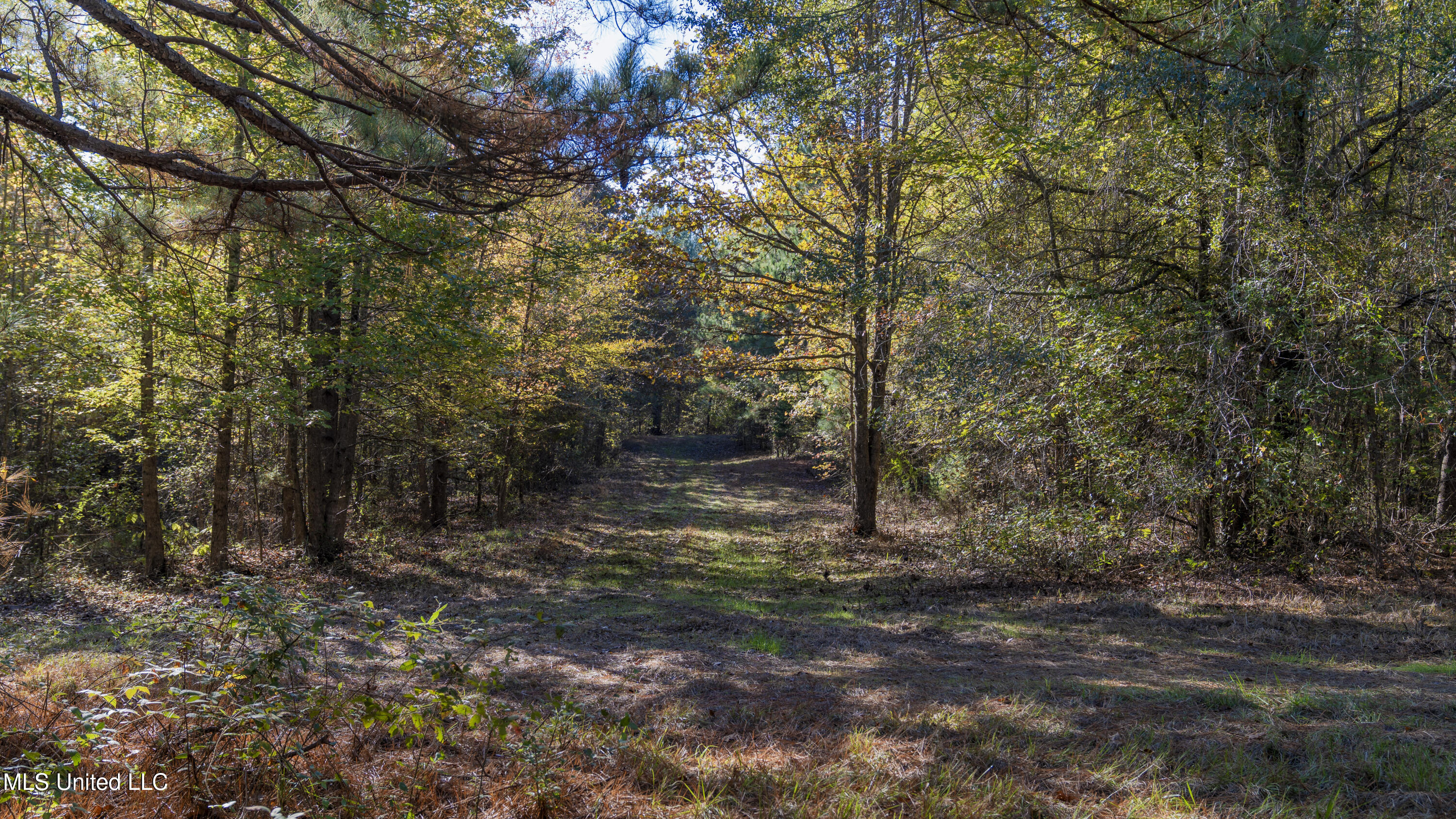 16098 Emory Road West, MS 39192 - Photo 5 of 41 WILL WARD-90 ACRE-03